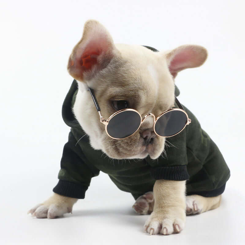 Fur Frames Fashion Glasses for Pets – Stylish Pet Eyewear Accessory