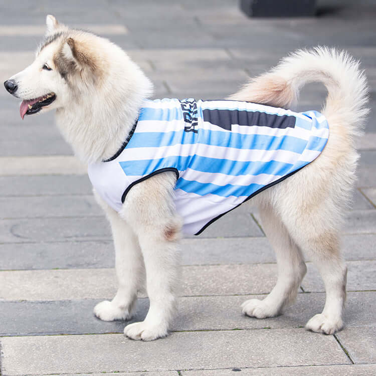 Champion Paws Sports Jersey - Urban Pet Dept.