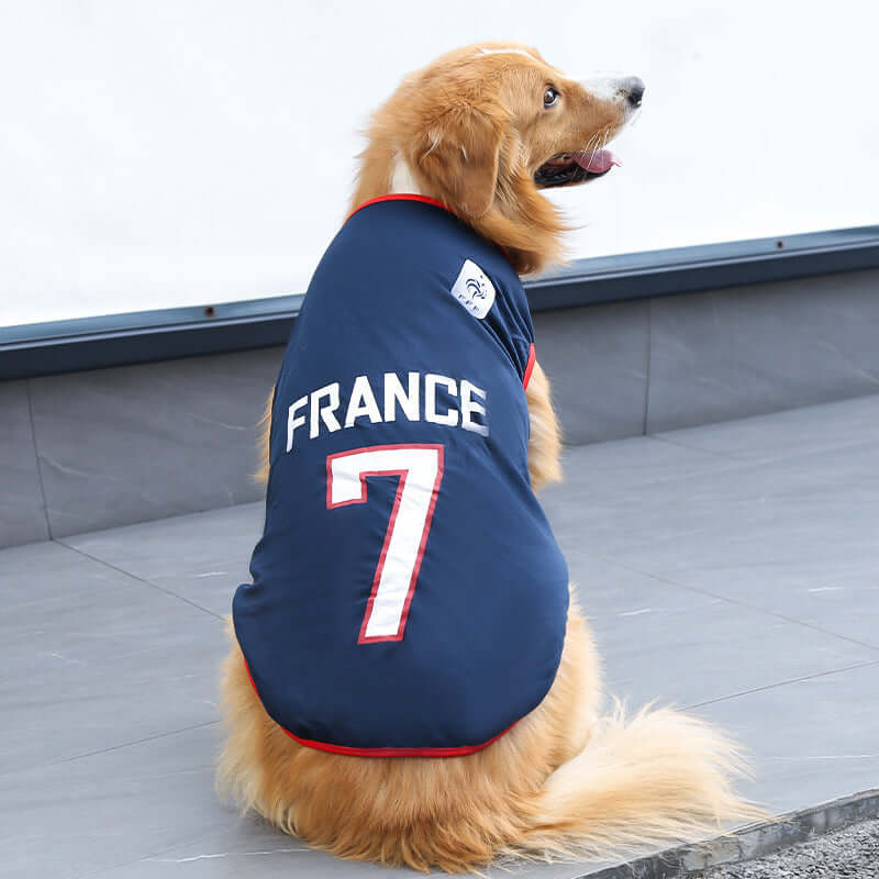 Champion Paws Sports Jersey - Urban Pet Dept.