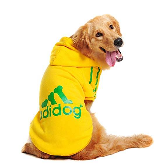 Adidog Hoodie - Urban Pet Dept.