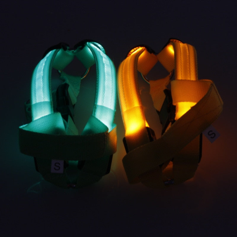 Night Glow Dog Harness With Nylon