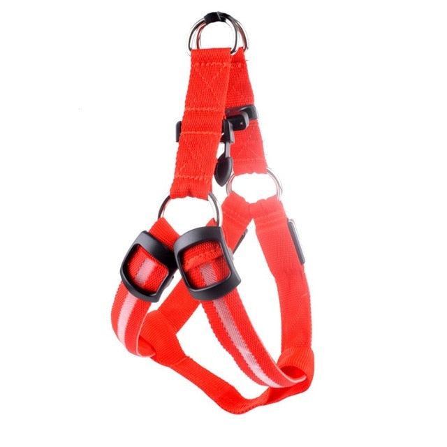 Night Glow Dog Harness With Nylon