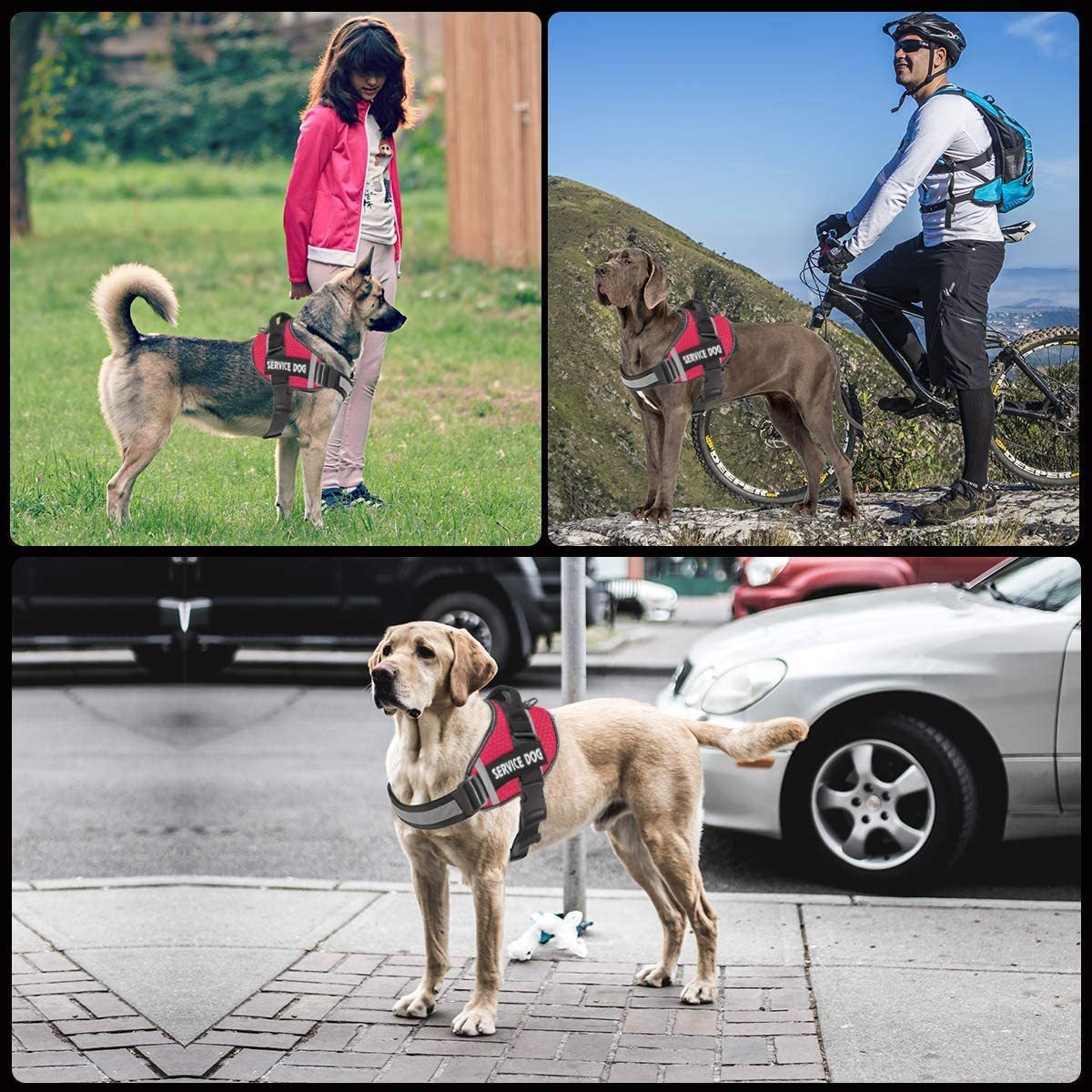 Reflective Service Dog Vest