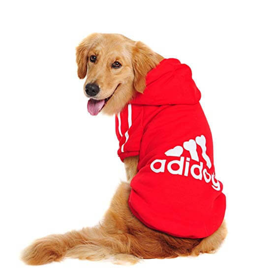 Adidog Hoodie - Urban Pet Dept.