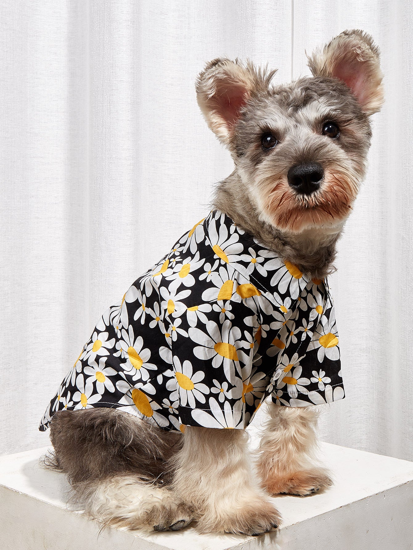 Sunflower Collar Shirt