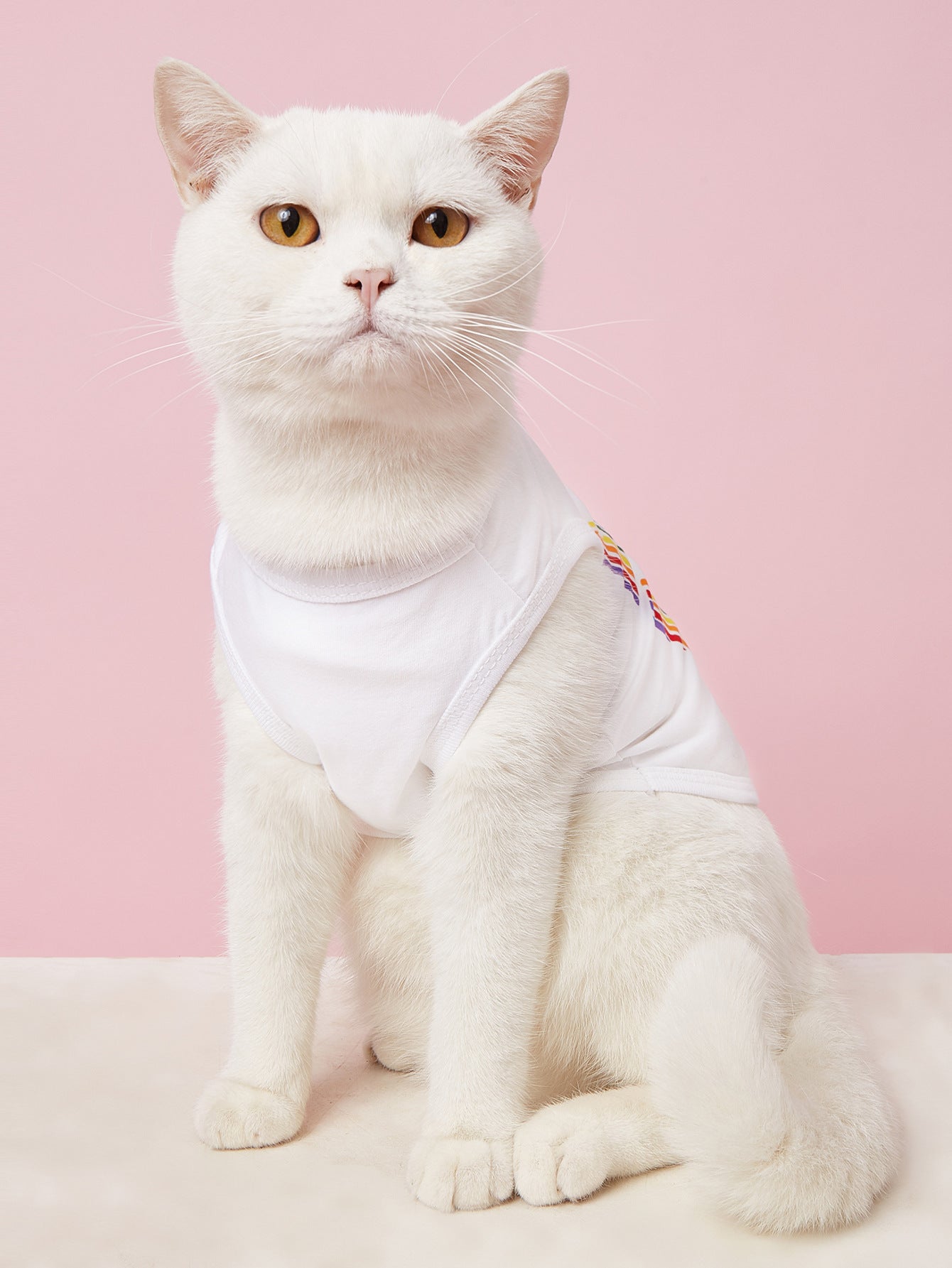 Lovely Paws Tee