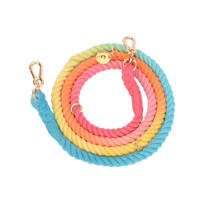 LuxeLeash Multicolor Rope Leash