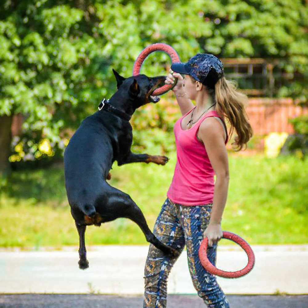 Pawsome Canine Flight Ring