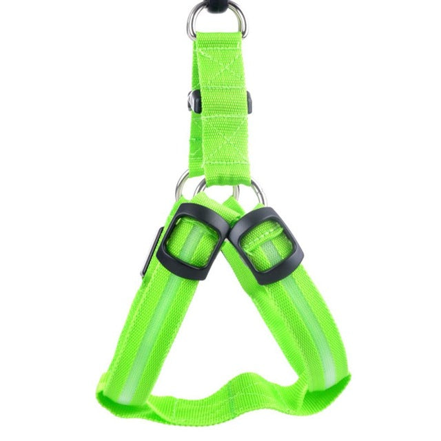 Night Glow Dog Harness With Nylon