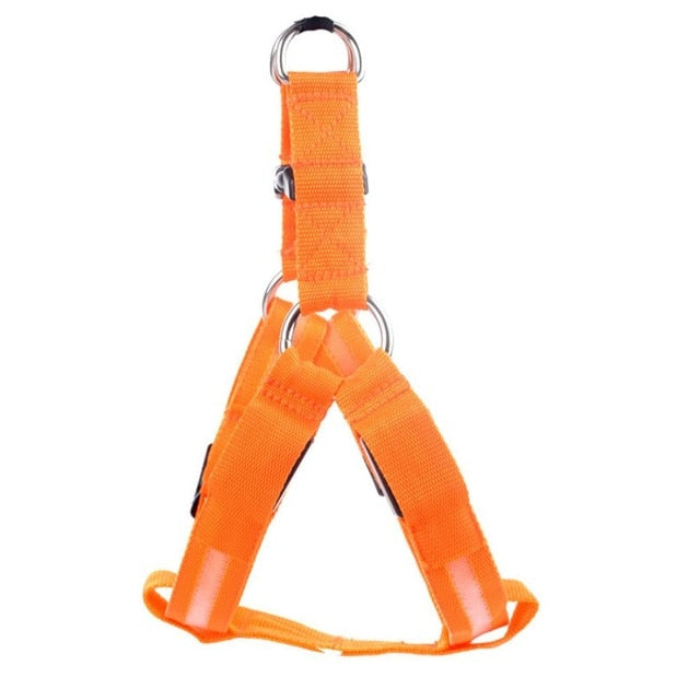 Night Glow Dog Harness With Nylon