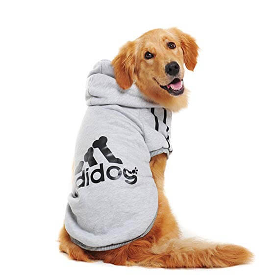 Adidog Hoodie - Urban Pet Dept.