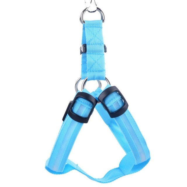 Night Glow Dog Harness With Nylon