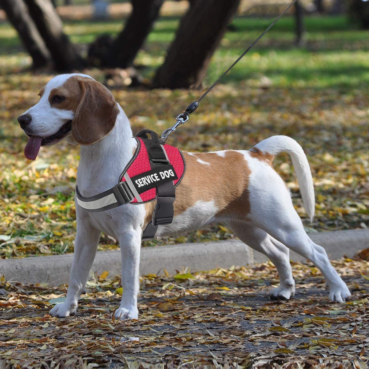 Reflective Service Dog Vest