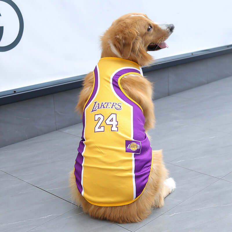 Champion Paws Sports Jersey - Urban Pet Dept.