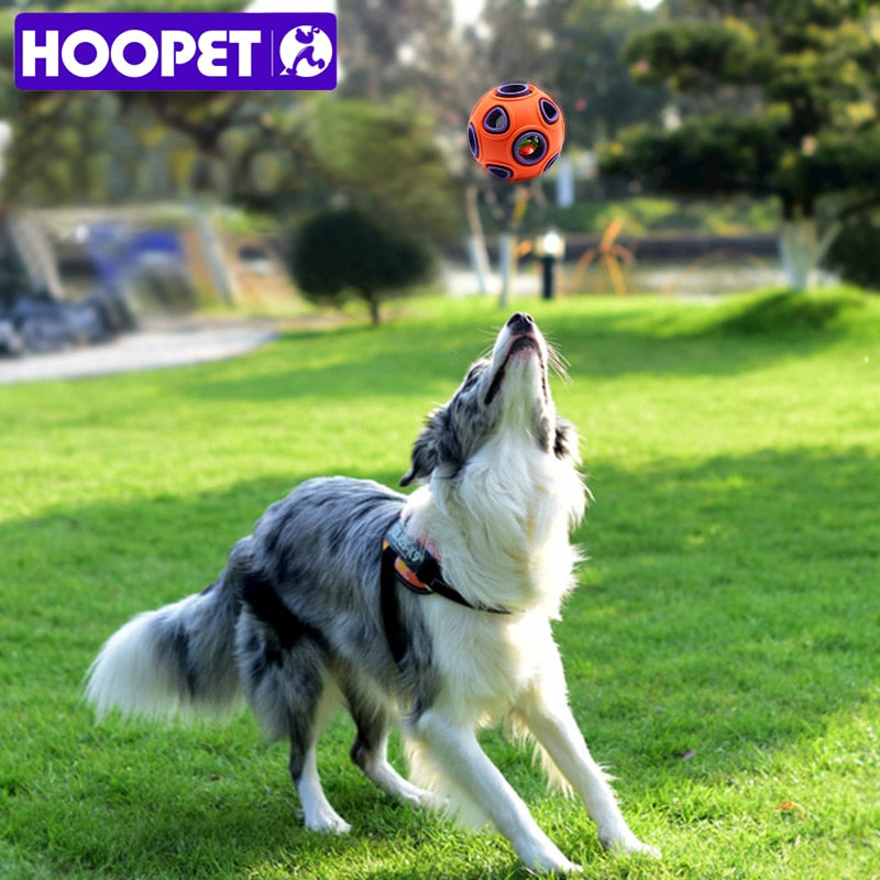 Hoopet Glow/Bell Ball