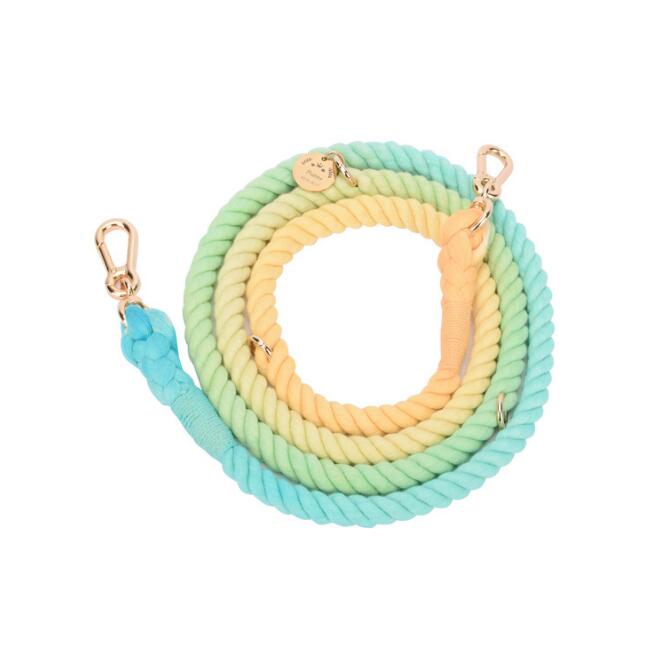 LuxeLeash Multicolor Rope Leash