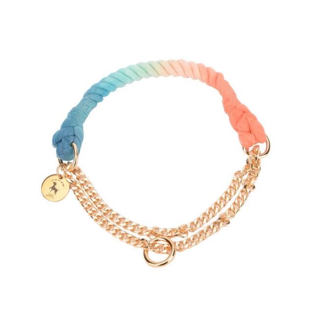 LuxeLeash Multicolor Rope Leash