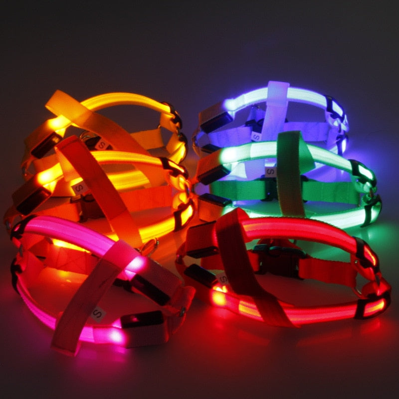 Night Glow Dog Harness With Nylon