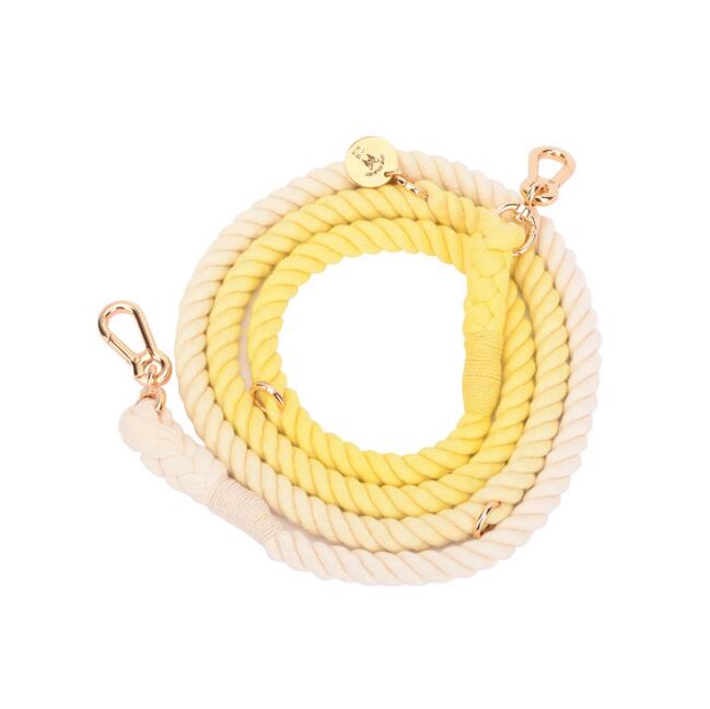 LuxeLeash Multicolor Rope Leash