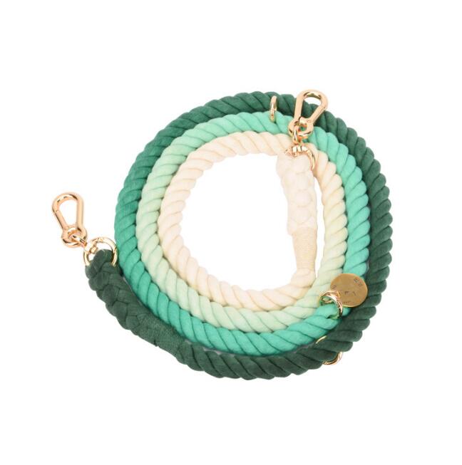 LuxeLeash Multicolor Rope Leash