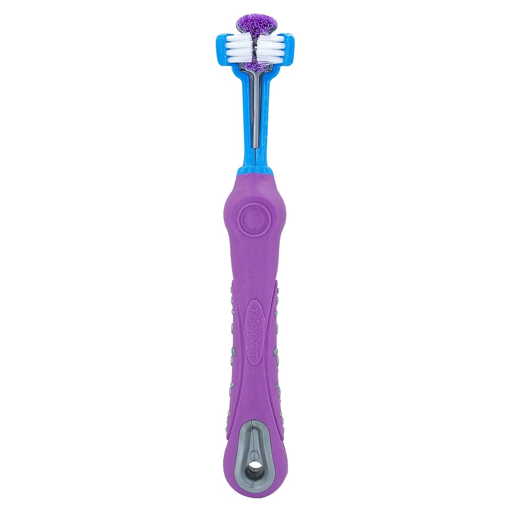 Tridenta Toothbrush