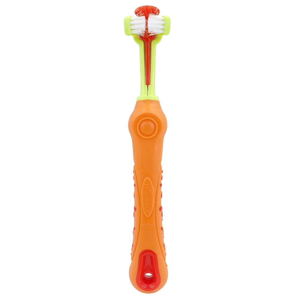 Tridenta Toothbrush