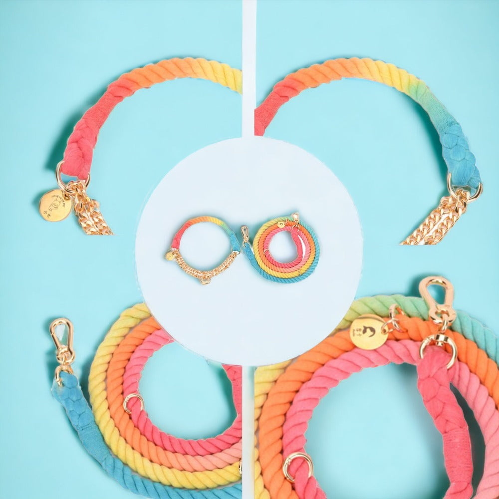 LuxeLeash Multicolor Rope Leash